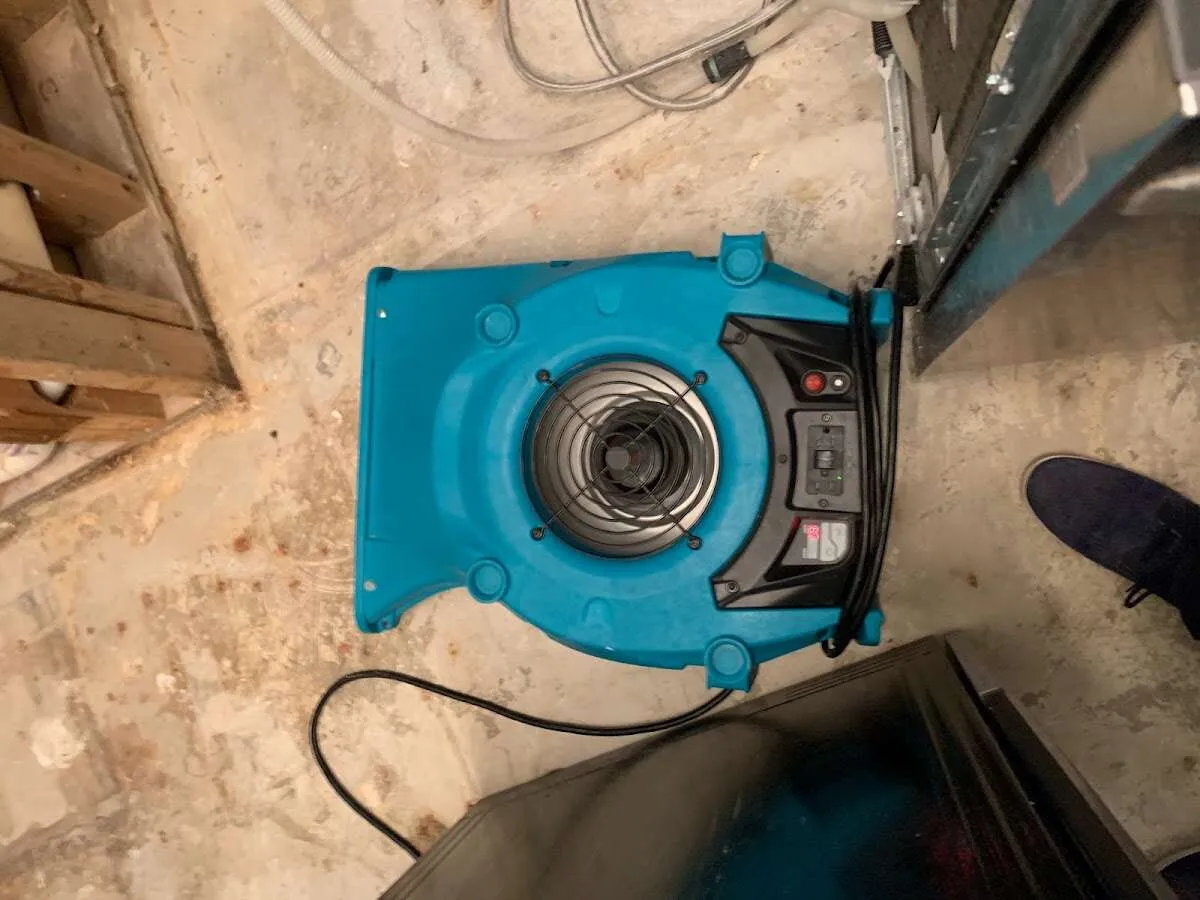Air mover drying equipment for Mold Remediation & Removal in West Norriton